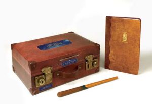 FANTASTIC BEASTS THE MAGIZOOLOGISTS DISCOVERY CASE
