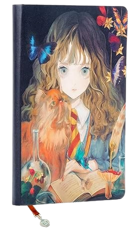 HARRY POTTER: HERMIONE GRANGER SOFTCOVER JOURNAL