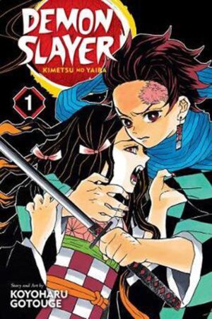 DEMON SLAYER: KIMETSU NO YAIBA -1 -