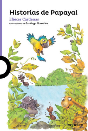 HISTORIAS DE PAPAYAL