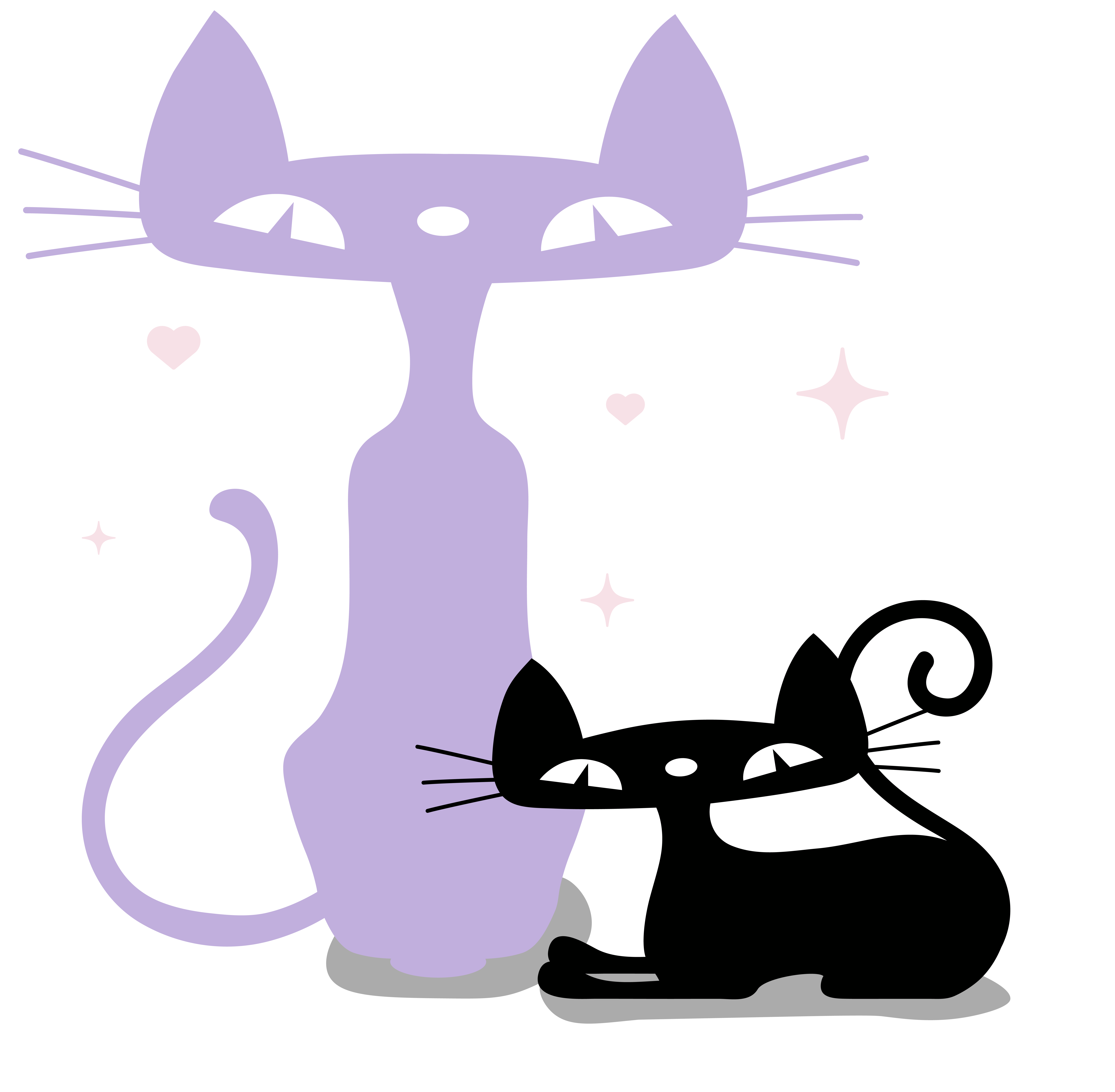 Gatos Libri Mayo