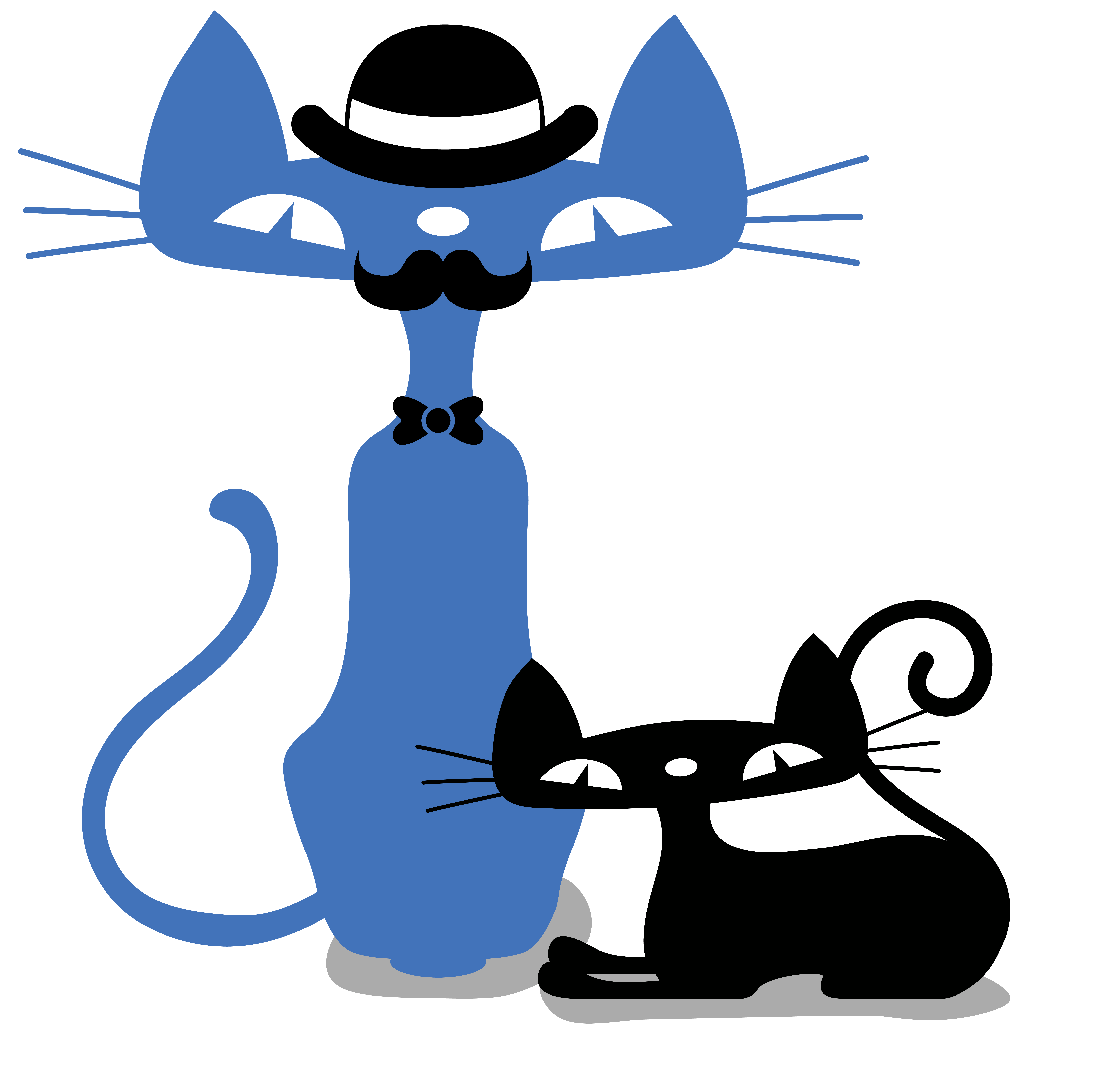 gatos footer junio