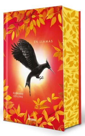 JUEGOS DEL HAMBRE 2 - EN LLAMAS