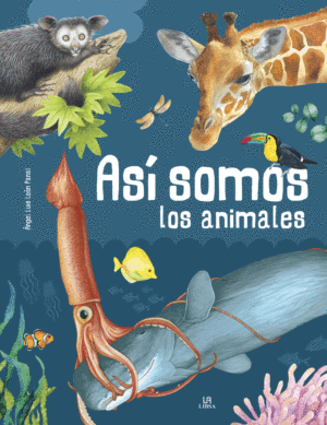 ANIMALIA ASI SOMOS LOS ANIMALES