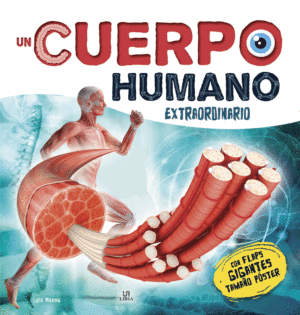 UN CUERPO HUMANO EXTRAORDINARIO FLAPS GIGANTES