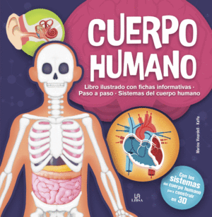 CUERPO HUMANO KIT DE CONSTRUCCION